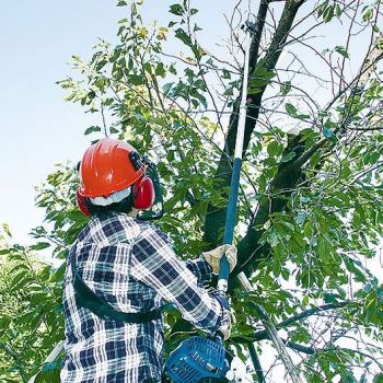 Высоторез MAKITA EY2650H25H - Фото №2