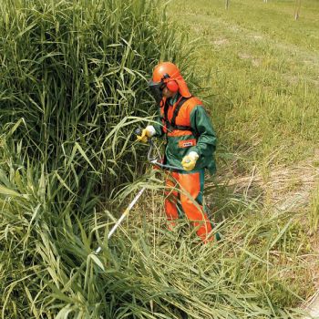 Мотокоса Oleo-Mac 753 Т (61119004E1D) - Фото №3