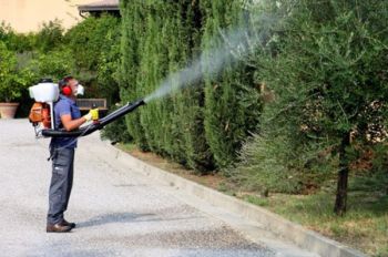 Мотоопрыскиватель Oleo-Mac MB 80 (365280030E1C) - Фото №2