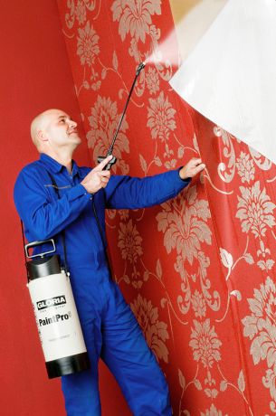 Опрыскиватель GLORIA PaintPro5 (80936) - Фото №3