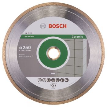 Алмазный диск BOSCH Professional for Ceramic 250х30/25,4 (2608602539) - Фото №1