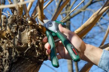 Секатор Bosch EasyPrune (06008B2000) - Фото №4