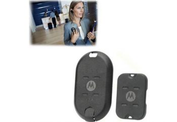 Рации Motorola CLP446 BUSINESS SET PREMIUM (Гр9595) - Фото №3