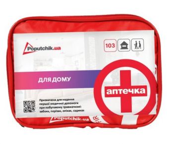 Аптечка для дома Poputchik Mini ТУ 19х8х14см (02-049-М) - Фото №1