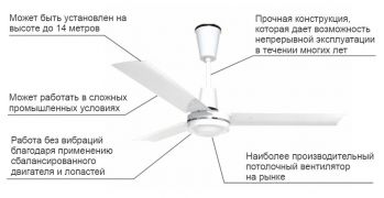 Потолочный вентилятор Master E60002 (4150.403) - Фото №5