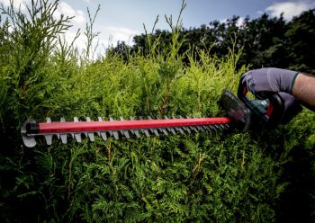 Кущоріз акумуляторний Metabo HS 18 LTX 65 Каркас (601719850) - Фото №5