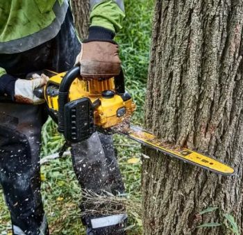 Пила ланцюгова акумуляторна DeWALT DCMCS574N Каркас - Фото №5