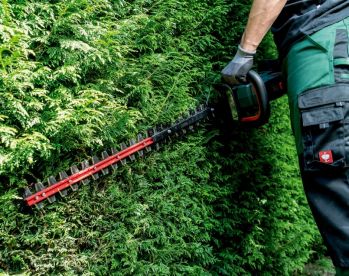 Кущоріз акумуляторний Metabo HS 18 LTX BL 65 Каркас (601723850) - Фото №3