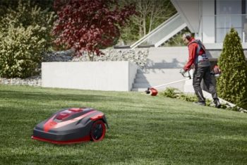 Робот-газонокосилка solo by AL-KO Robolinho 520 W (127695) - Фото №2