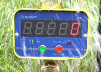 Крановые весы Tenzomir (Vagar) D2-5000 (120198) - Фото №4