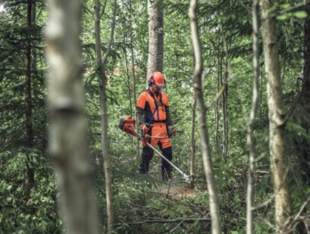 Кусторез Husqvarna 555FXT (9666292-03) - Фото №4