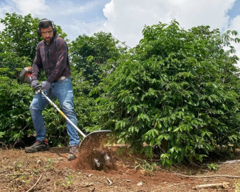 Мотокоса комбинированная Husqvarna 525LK (9671483-02) - Фото №4