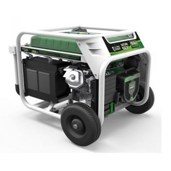 Генератор бензин-газ Genergy Natura 5000 (240026090) - Фото №2