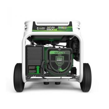 Генератор бензин-газ Genergy Natura 5000 (240026090) - Фото №6