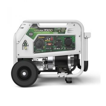 Генератор бензин-газ Genergy Natura 7000 (240027090) - Фото №2