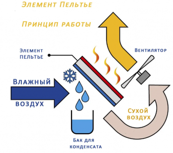 Осушитель воздуха Trotec TTP 2 E (1105000002) - Фото №4