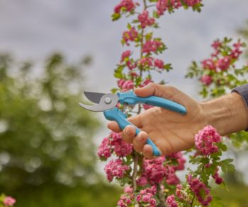 Секатор Gardena EasyCut 20 мм (12230-20.000.00) - Фото №5