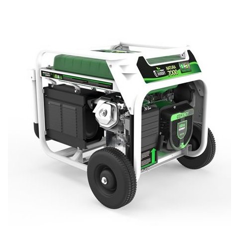 Генератор бензин-газ Genergy Natura 7000 (240027090)